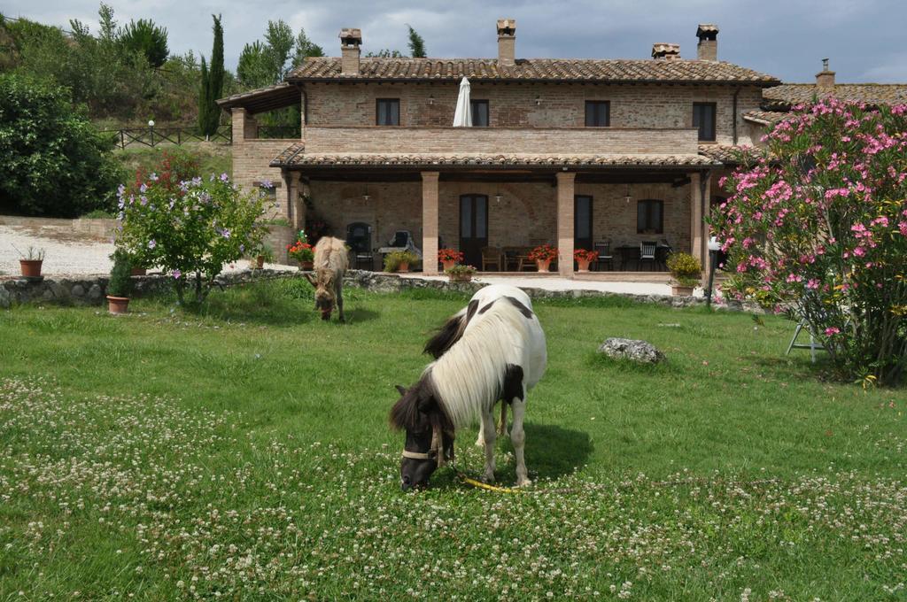 Farm Stay Il Carro Del Colle Collevalenza Zewnętrze zdjęcie