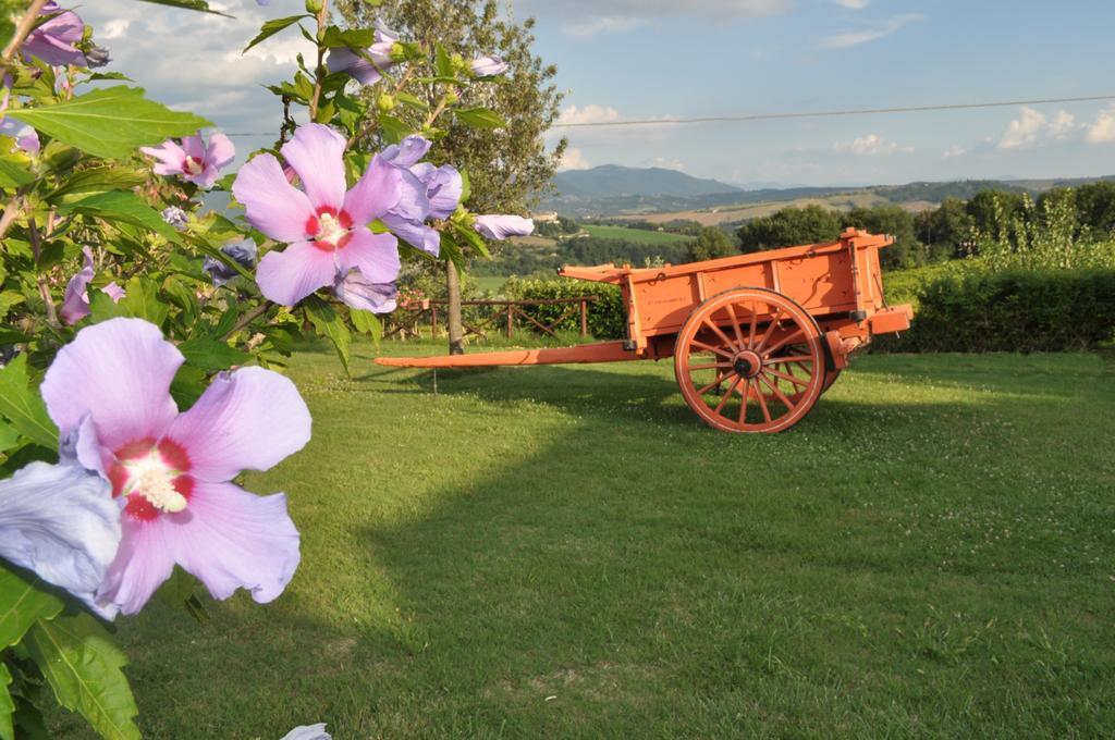 Farm Stay Il Carro Del Colle Collevalenza Zewnętrze zdjęcie
