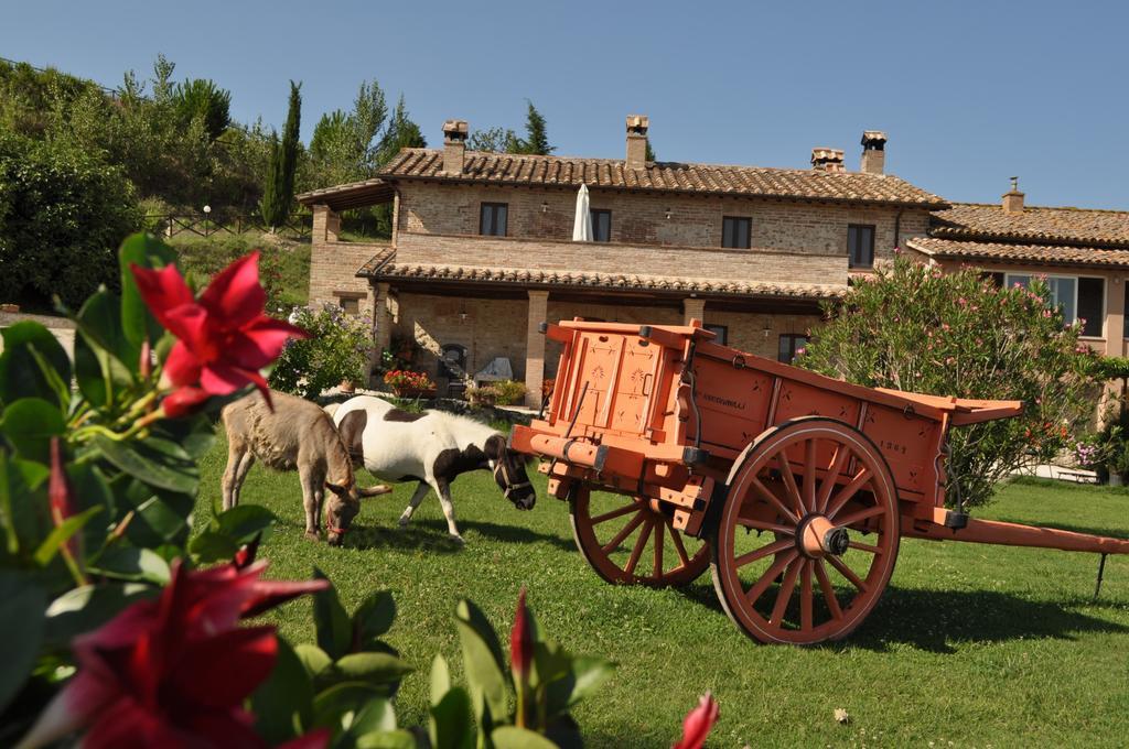 Farm Stay Il Carro Del Colle Collevalenza Zewnętrze zdjęcie
